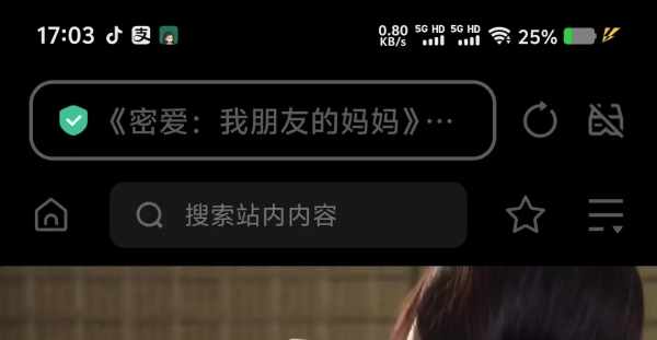 星际浏览器，内置AI，老司机必备浏览器，什么网址都能打开！